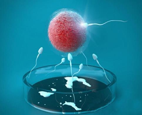 元准生殖医学中心